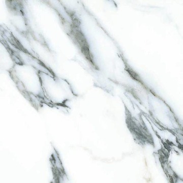 Nuance -Wall Panels-Carrara Marble Slab Panel A                           T